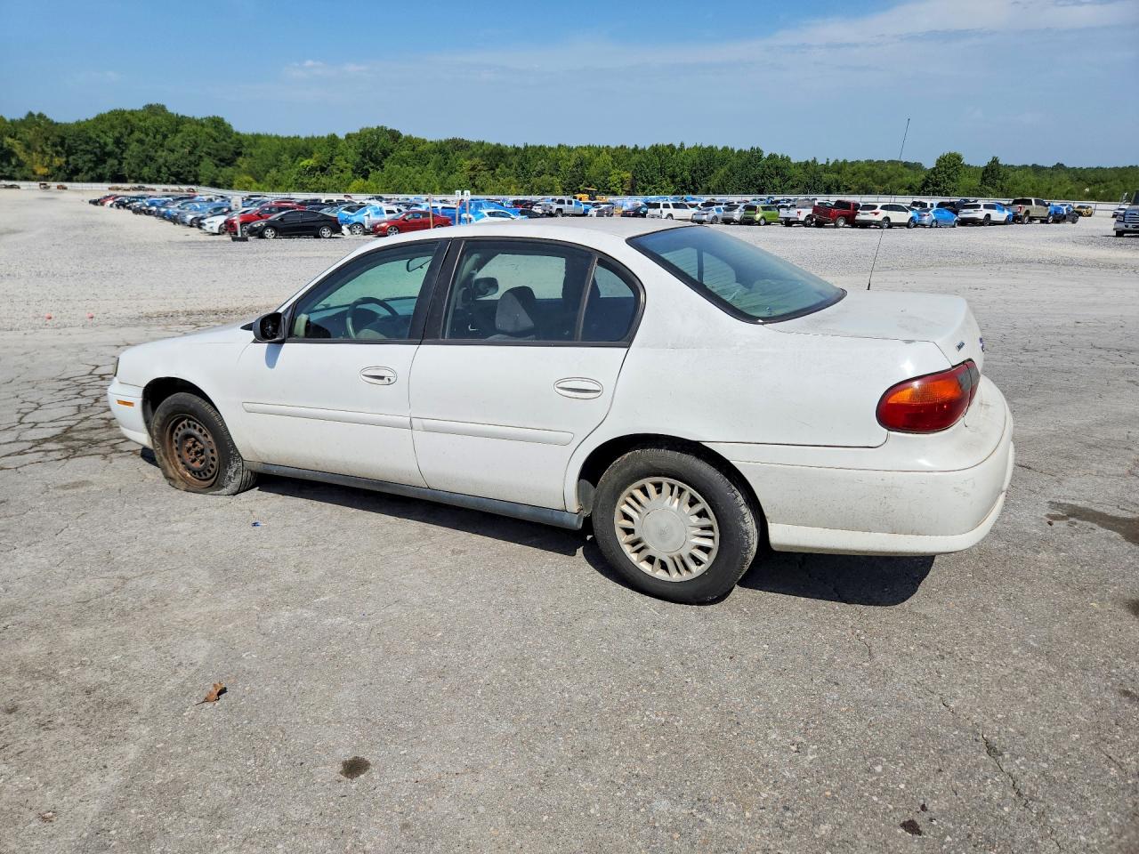2005 Chevrolet Classic White vin: 1G1ND52F95M110210