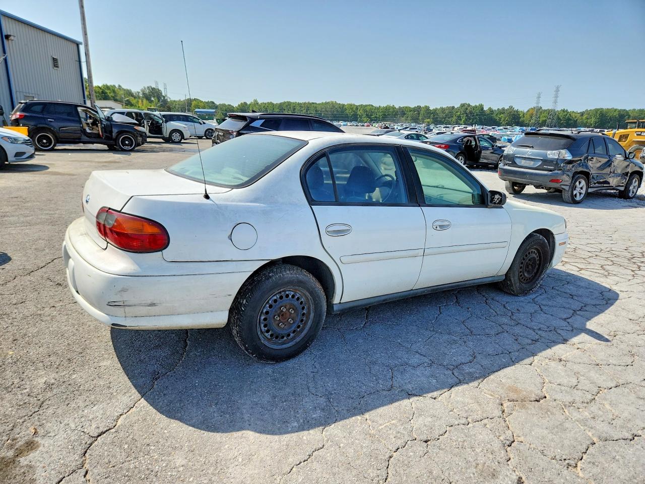 2005 Chevrolet Classic White vin: 1G1ND52F95M110210
