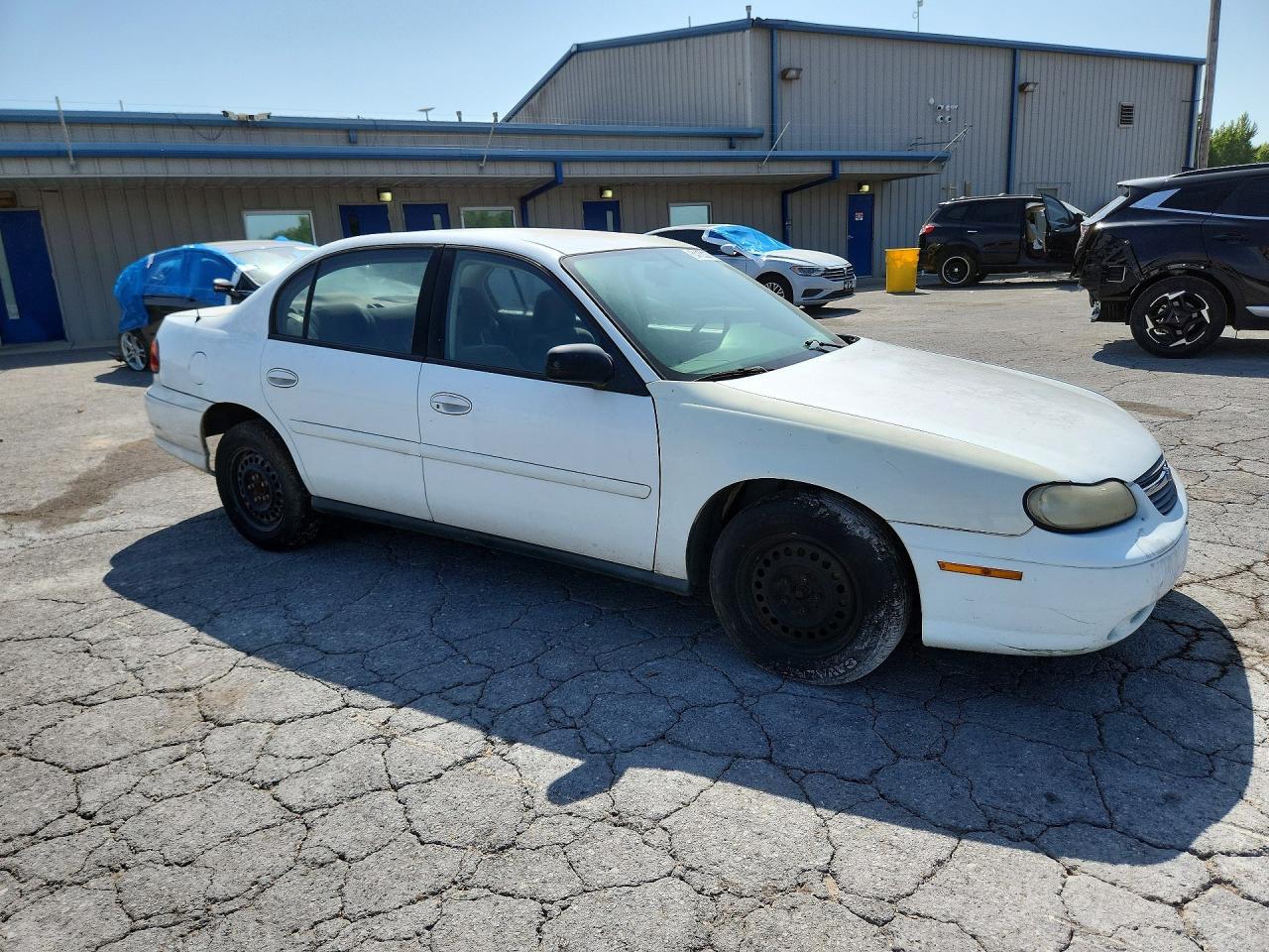 2005 Chevrolet Classic White vin: 1G1ND52F95M110210