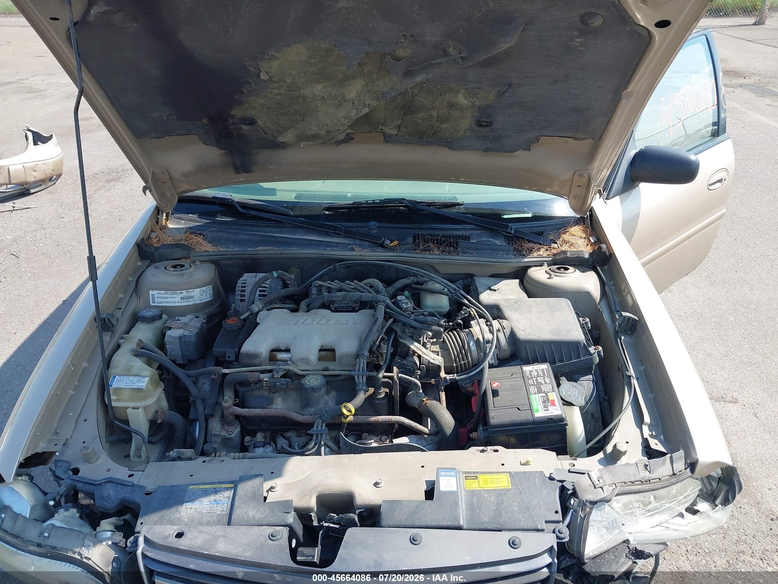 2001 Chevrolet Malibu   Gold vin: 1G1ND52J01M683057