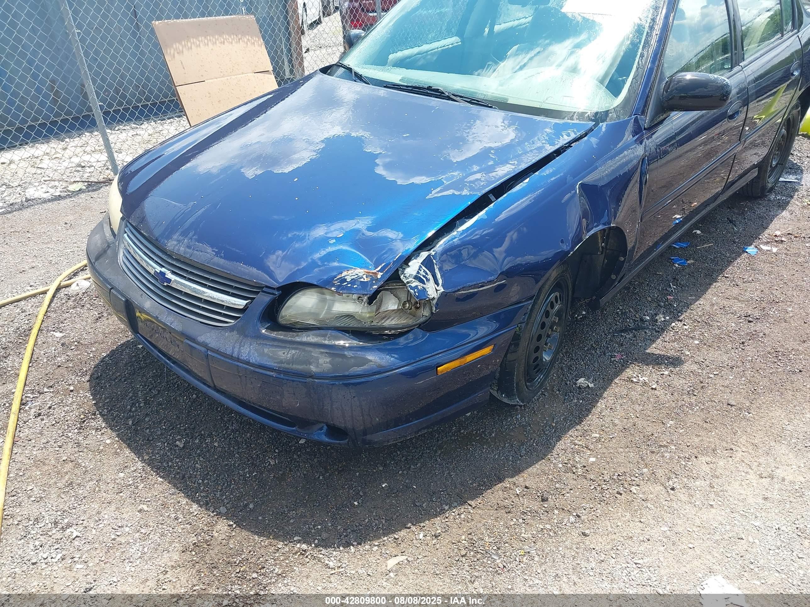 2000 Chevrolet Malibu   Dark Blue vin: 1G1ND52J0Y6346709