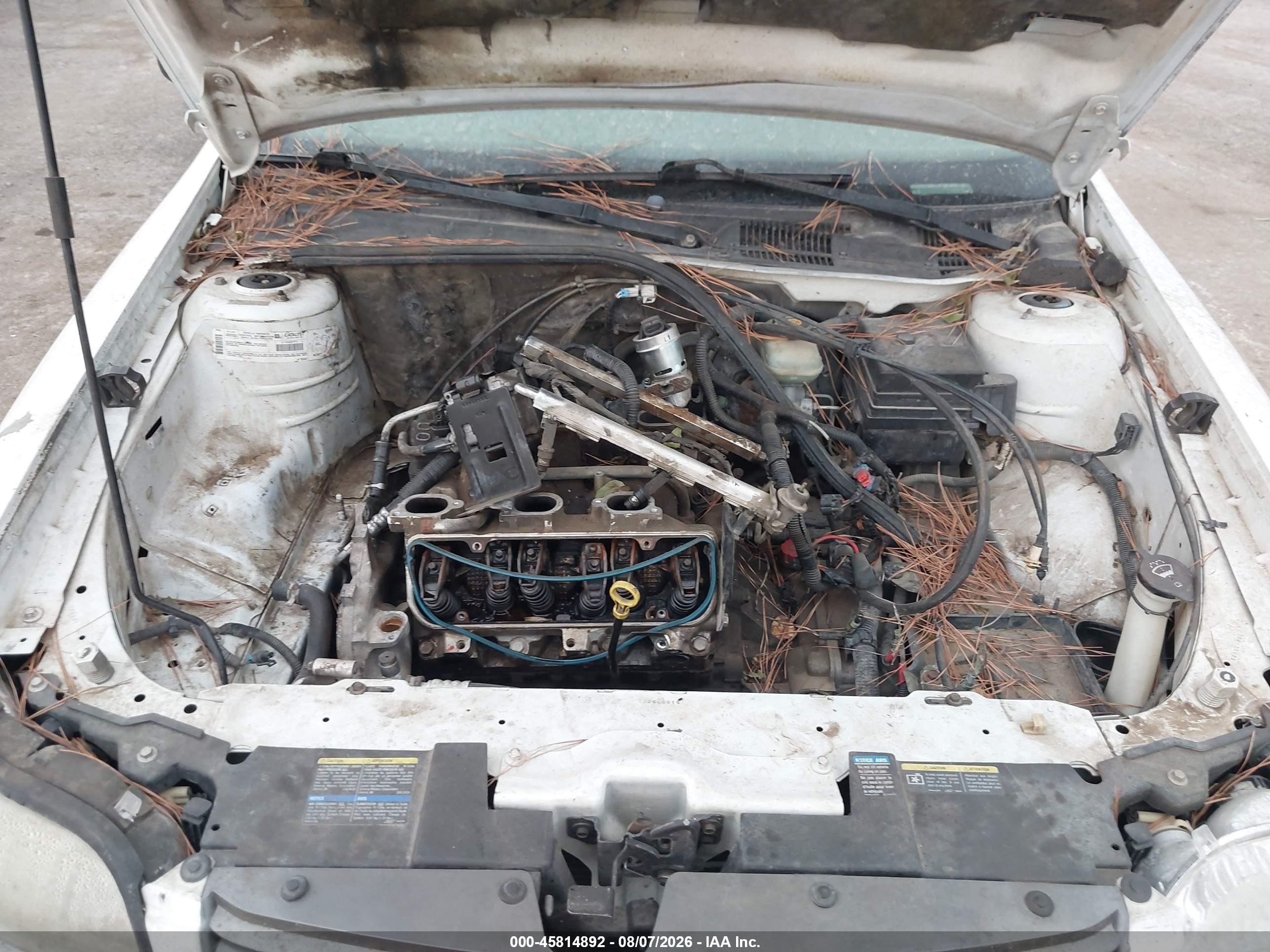 2003 Chevrolet Malibu   Белый vin: 1G1ND52J23M569581