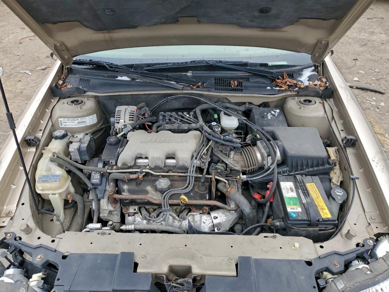 2003 Chevrolet Malibu Tan vin: 1G1ND52J23M681572