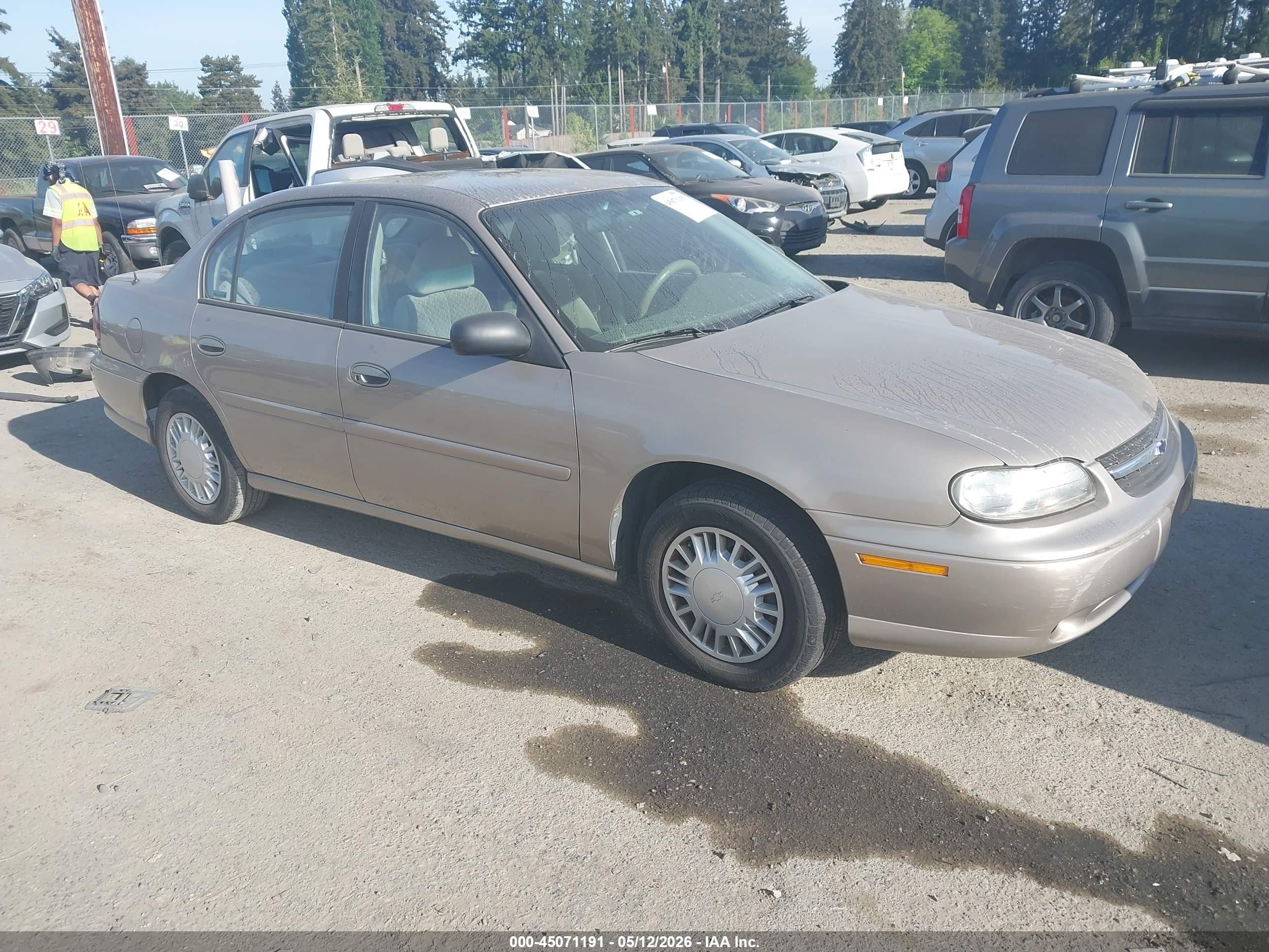 2000 Chevrolet Malibu   Gold vin: 1G1ND52J2Y6267414