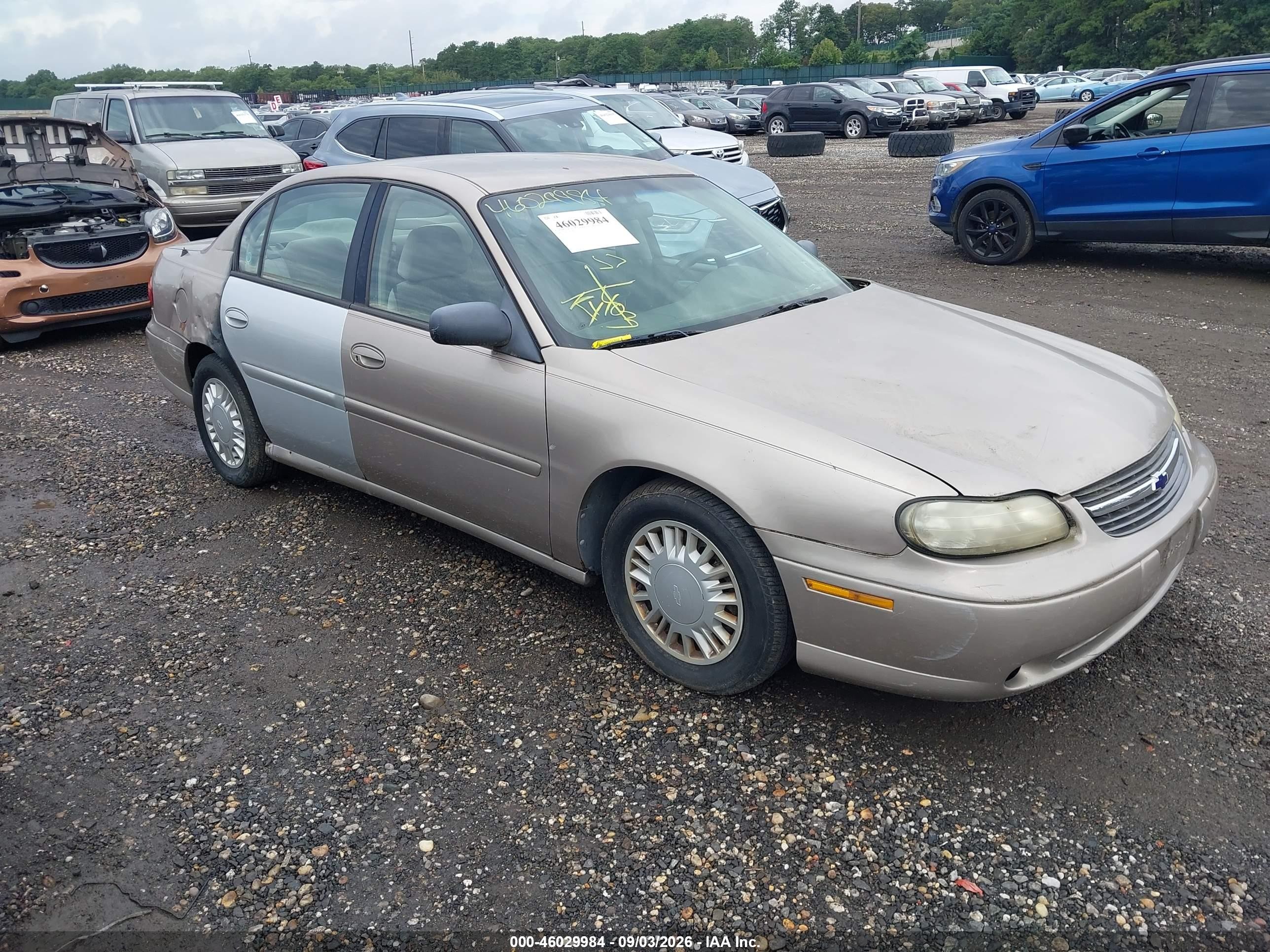 2000 Chevrolet Malibu   Brown vin: 1G1ND52J2Y6305143