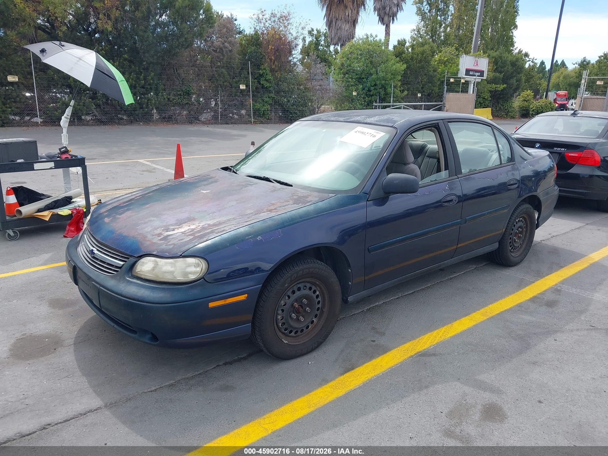 2001 Chevrolet Malibu   Blue vin: 1G1ND52J316196844