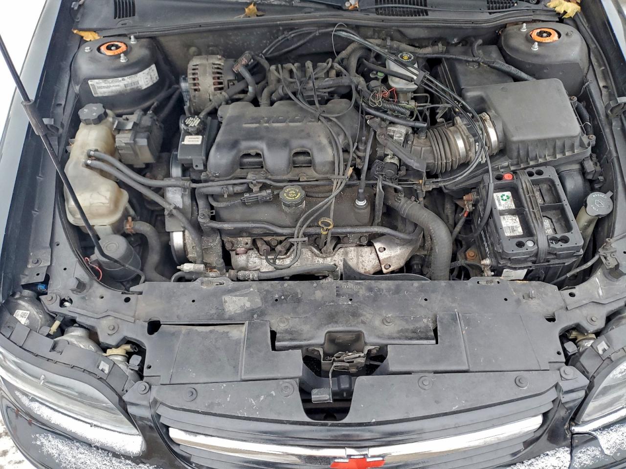 2001 Chevrolet Malibu Black vin: 1G1ND52J416116676