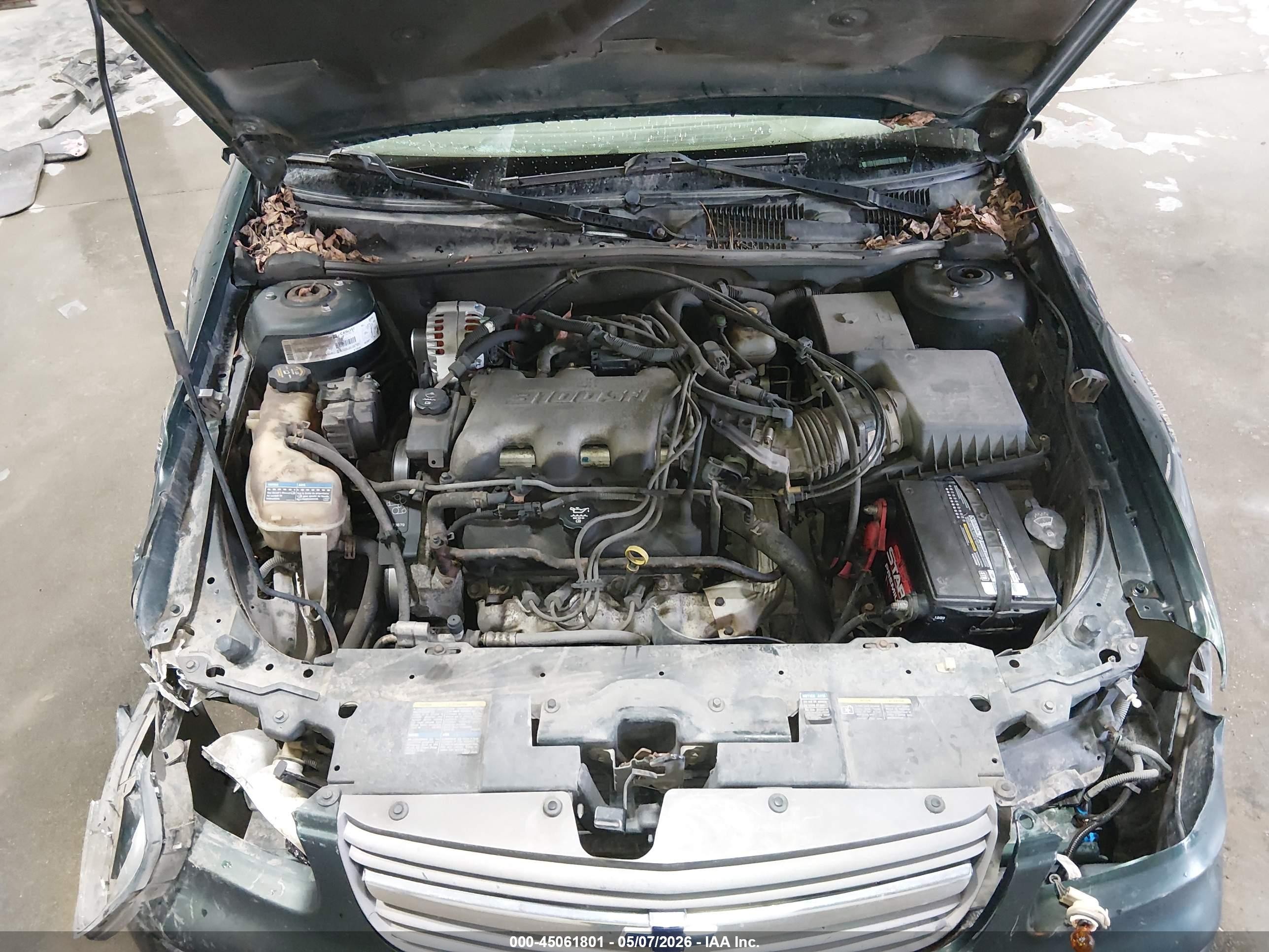 2002 Chevrolet Malibu   Green vin: 1G1ND52J52M694430