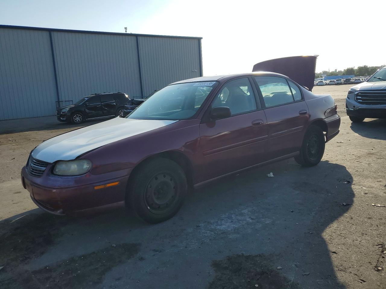 2001 Chevrolet Malibu Purple vin: 1G1ND52J916197481