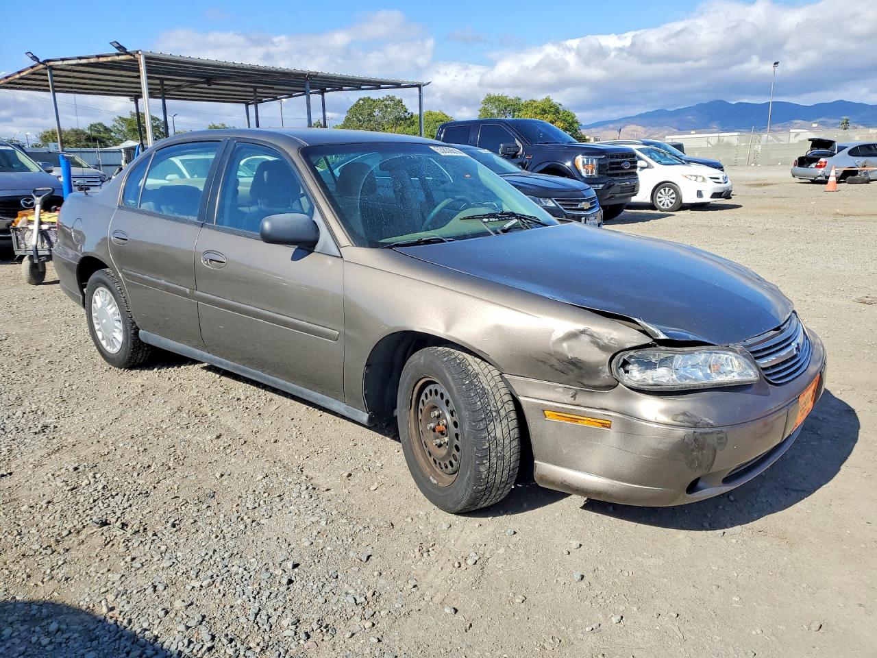 2001 Chevrolet Malibu Коричневый vin: 1G1ND52JX16245912