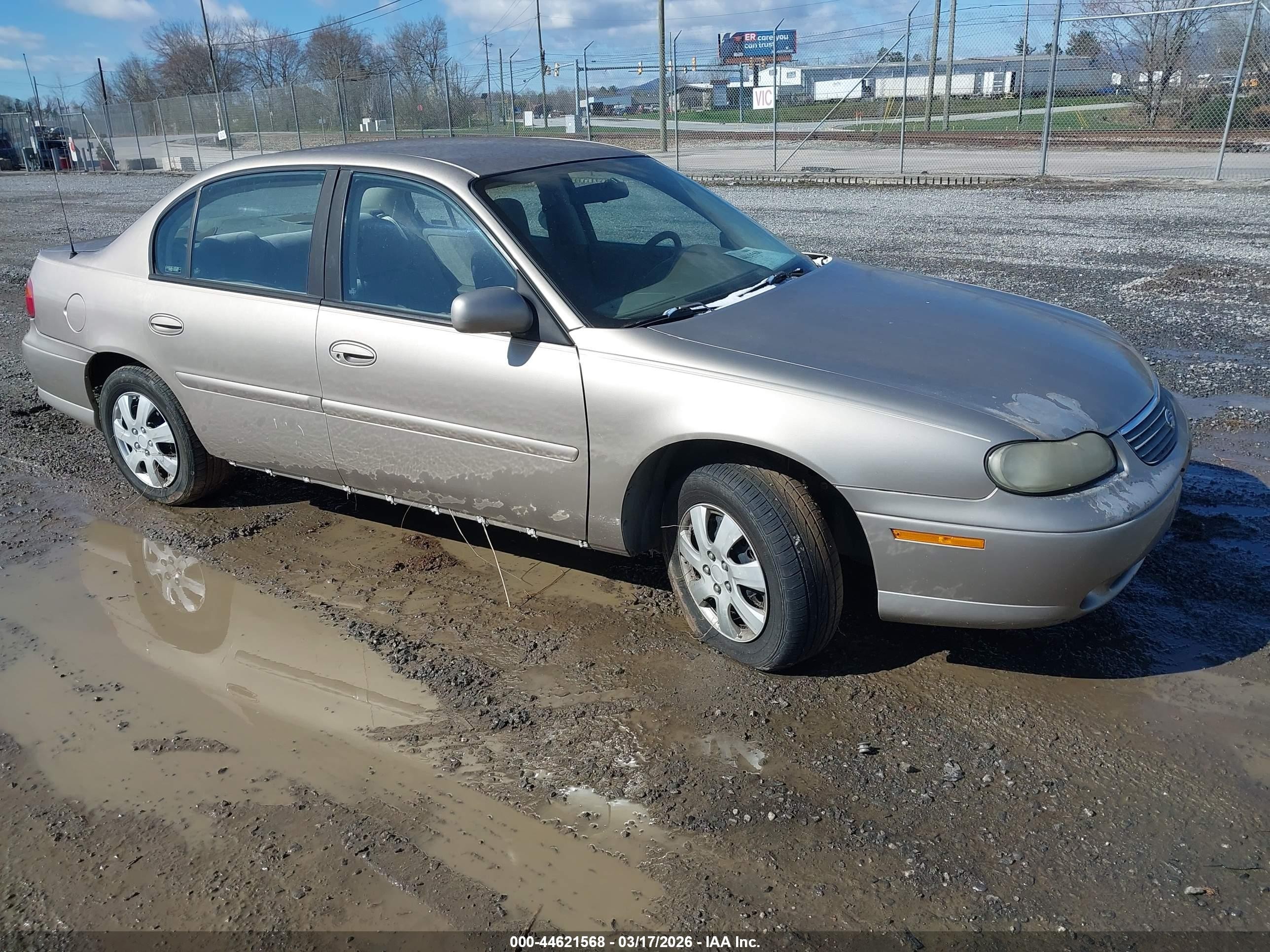 1997 Chevrolet Malibu   Champagne vin: 1G1ND52M7VY100721