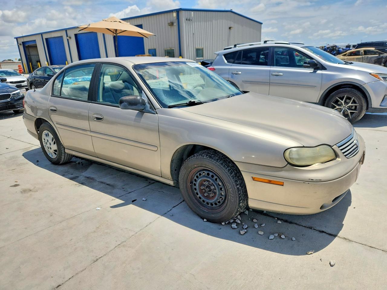 1998 Chevrolet Malibu Желто-коричневый vin: 1G1ND52T5WY115050