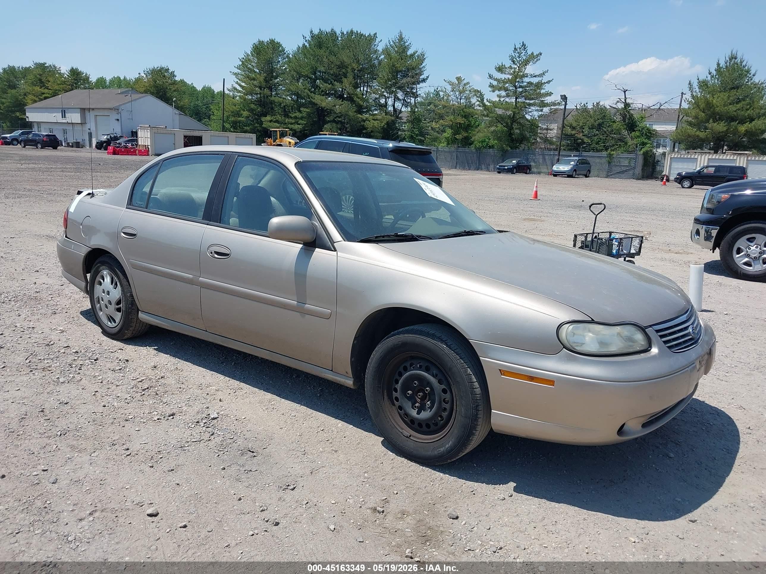 1998 Chevrolet Malibu   Champagne vin: 1G1ND52T8W6202386