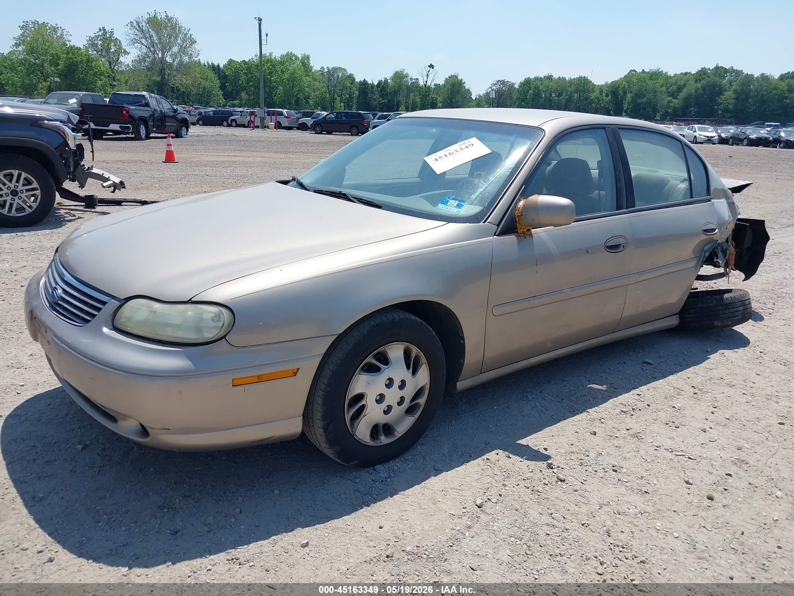 1998 Chevrolet Malibu   Champagne vin: 1G1ND52T8W6202386
