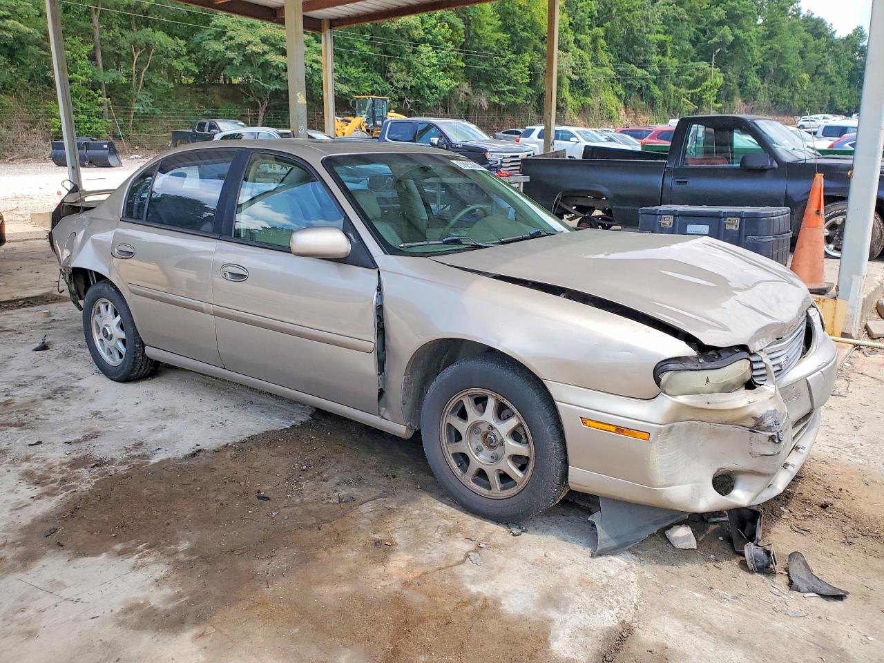 1999 Chevrolet Malibu Ls Tan vin: 1G1NE52M8X6226209