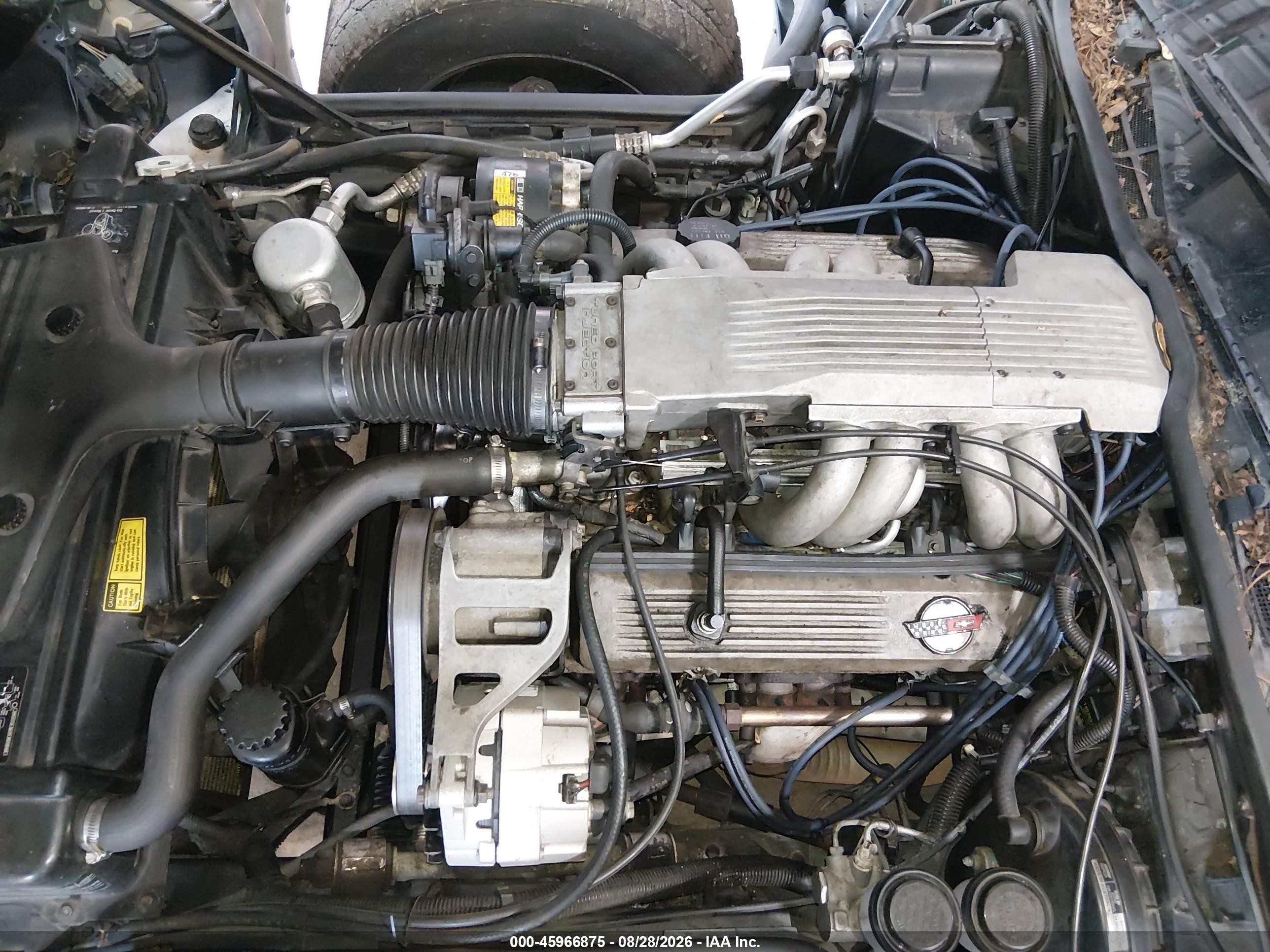 1985 Chevrolet Corvette   Black vin: 1G1YY0780F5135006