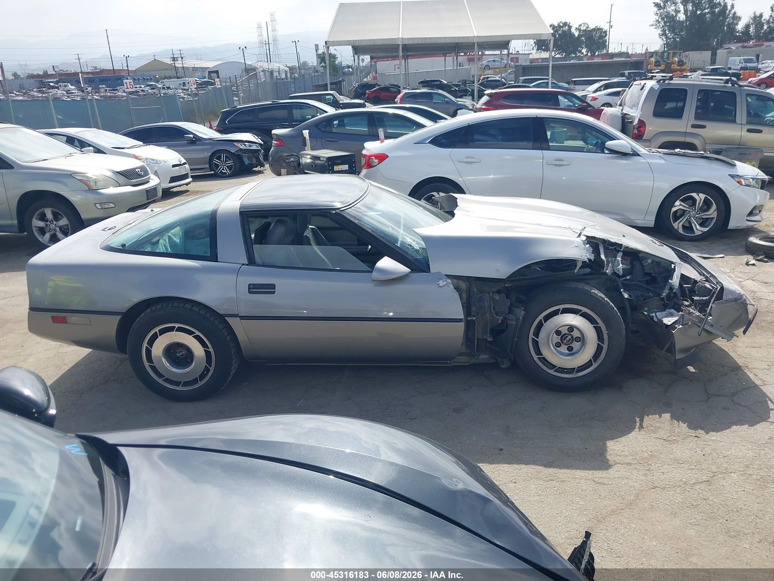 1985 Chevrolet Corvette   Gray vin: 1G1YY0783F5113968