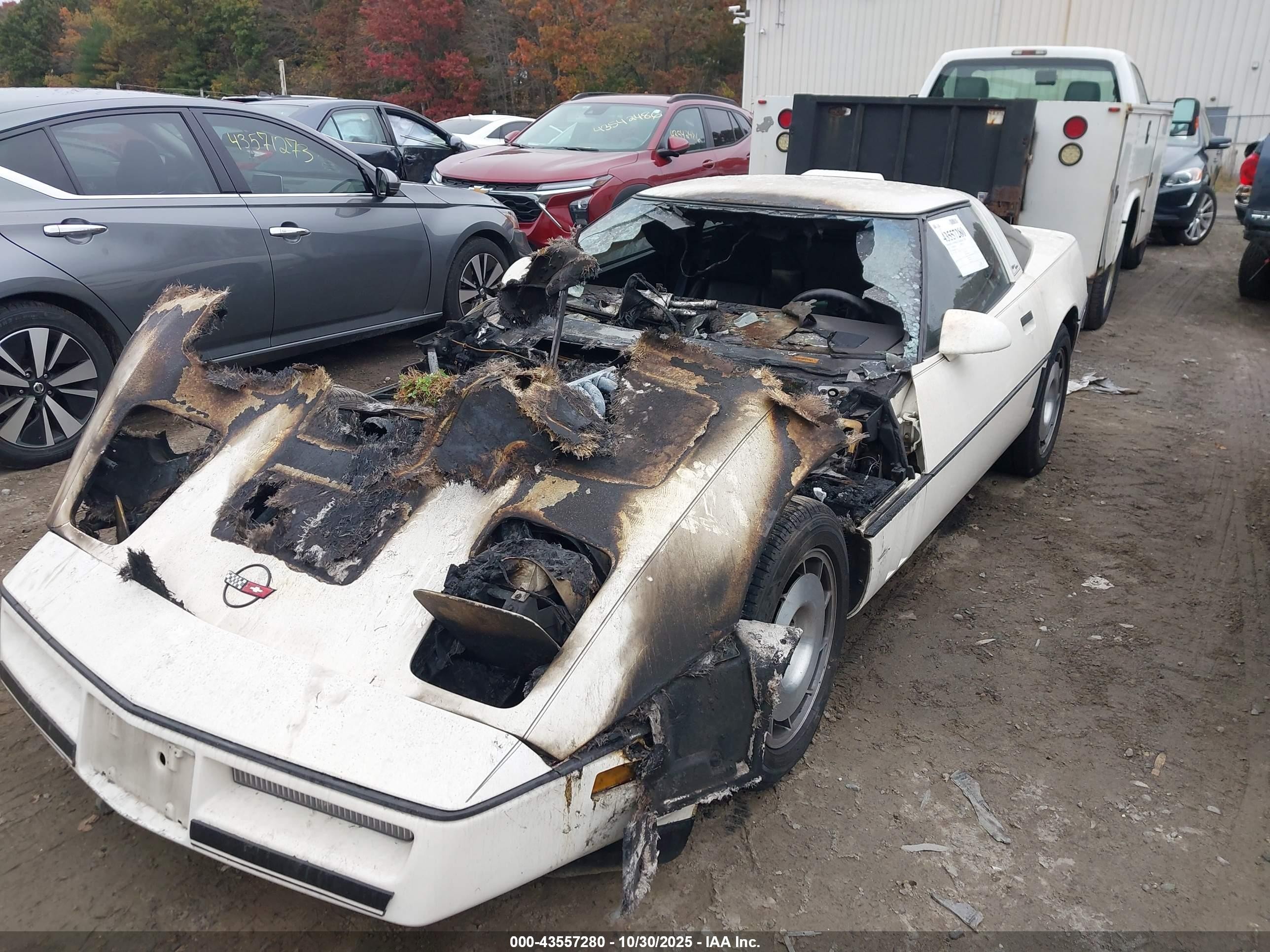 1986 Chevrolet Corvette   Белый vin: 1G1YY0788G5127303