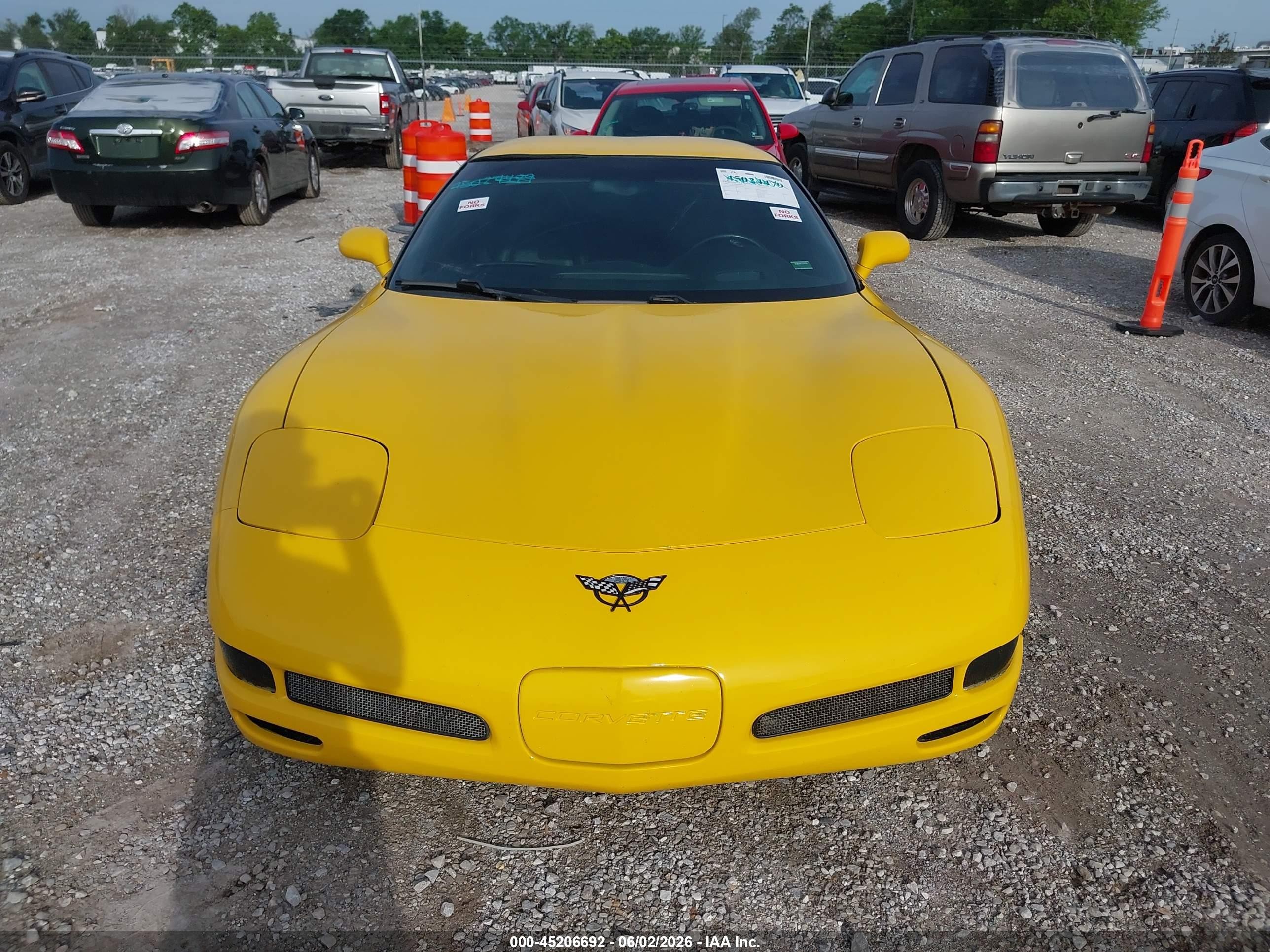 2003 Chevrolet Corvette Z06 Hardtop Yellow vin: 1G1YY12S835126168