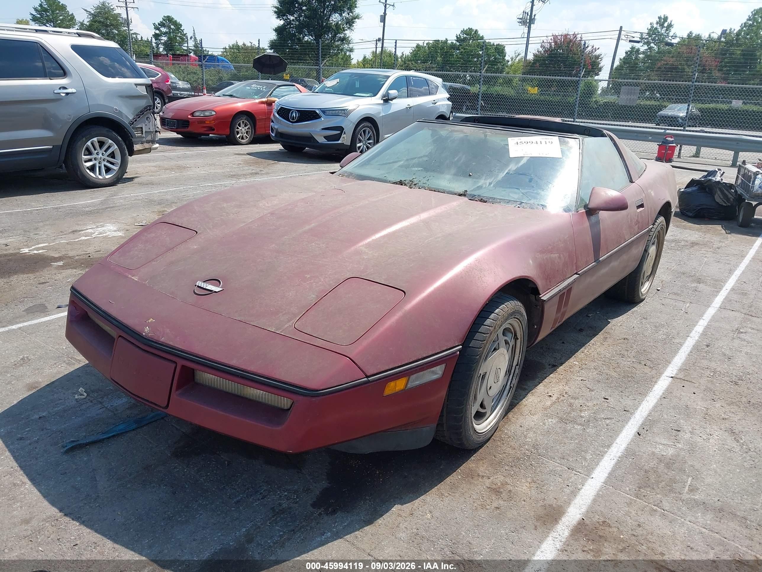 1989 Chevrolet Corvette   Burgundy vin: 1G1YY2181K5124644