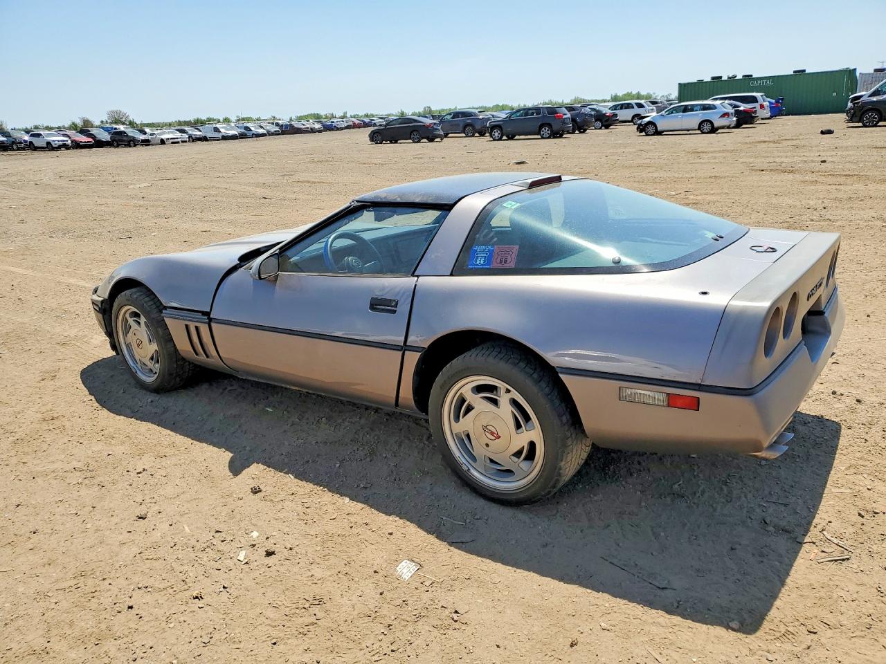 1989 Chevrolet Corvette Gray vin: 1G1YY2182K5103284