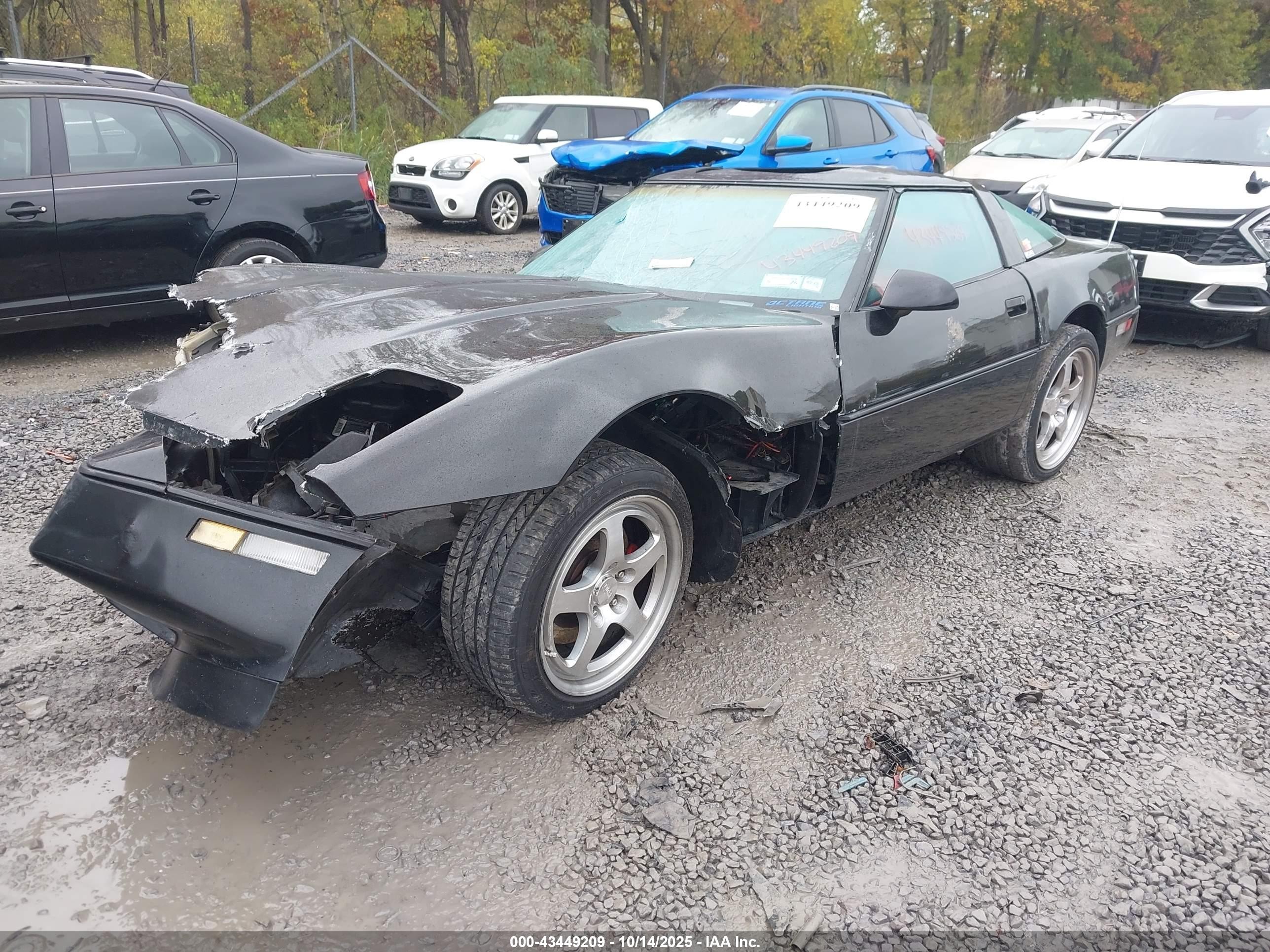 1989 Chevrolet Corvette   Black vin: 1G1YY2182K5124006