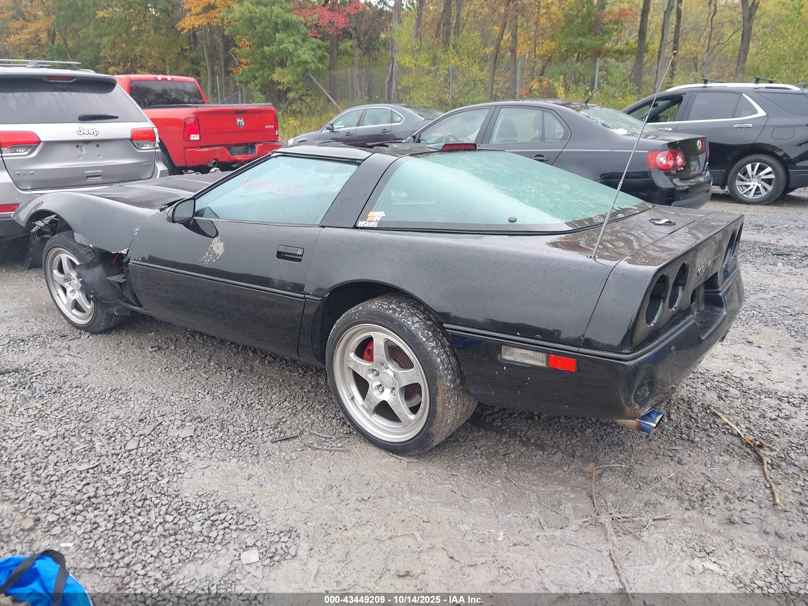 1989 Chevrolet Corvette   Black vin: 1G1YY2182K5124006