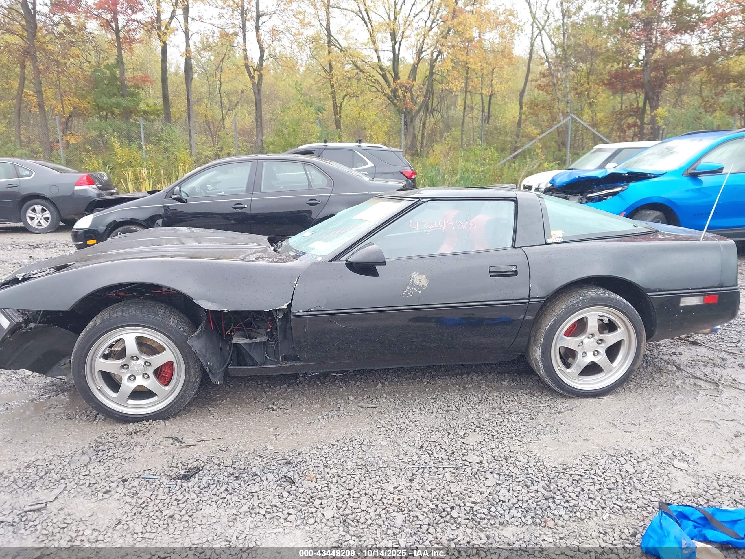1989 Chevrolet Corvette   Black vin: 1G1YY2182K5124006