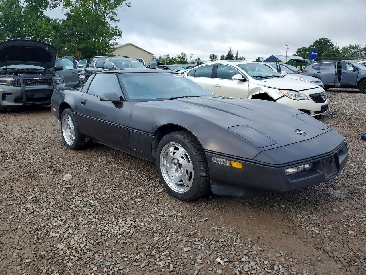 1989 Chevrolet Corvette Gray vin: 1G1YY2185K5100539