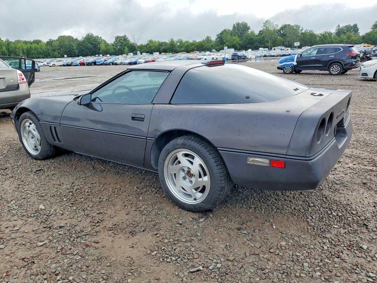 1989 Chevrolet Corvette Gray vin: 1G1YY2185K5100539