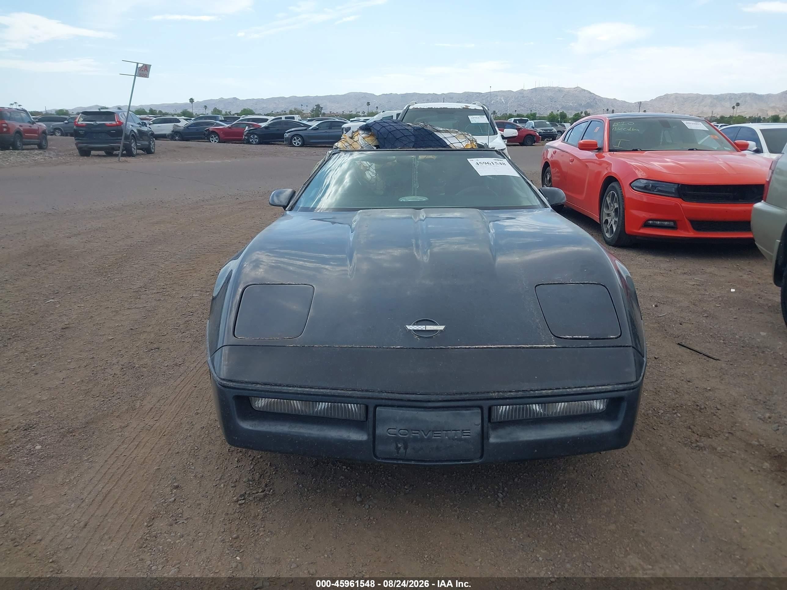 1989 Chevrolet Corvette   Черный vin: 1G1YY2189K5113181