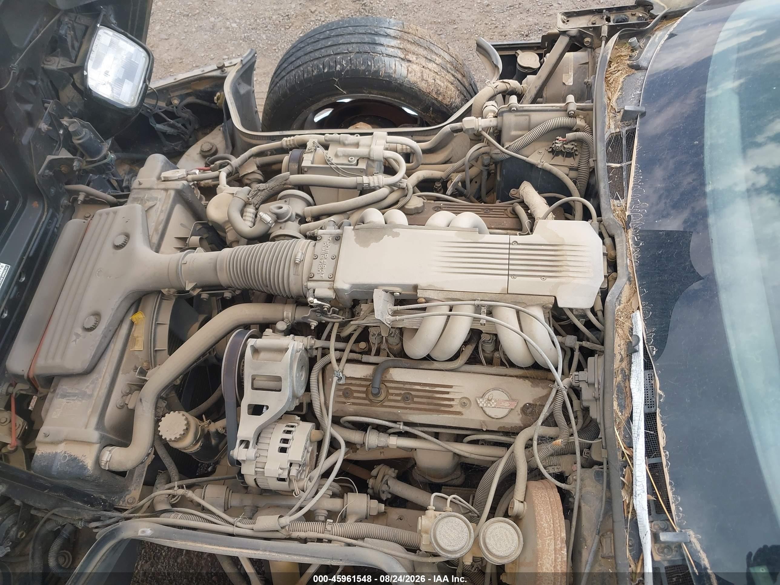 1989 Chevrolet Corvette   Черный vin: 1G1YY2189K5113181