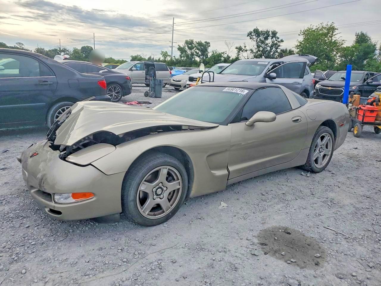 1998 Chevrolet Corvette Gray vin: 1G1YY22G0W5111394