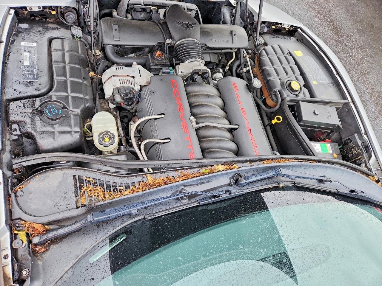 1998 Chevrolet Corvette Серебряный vin: 1G1YY22G1W5119777