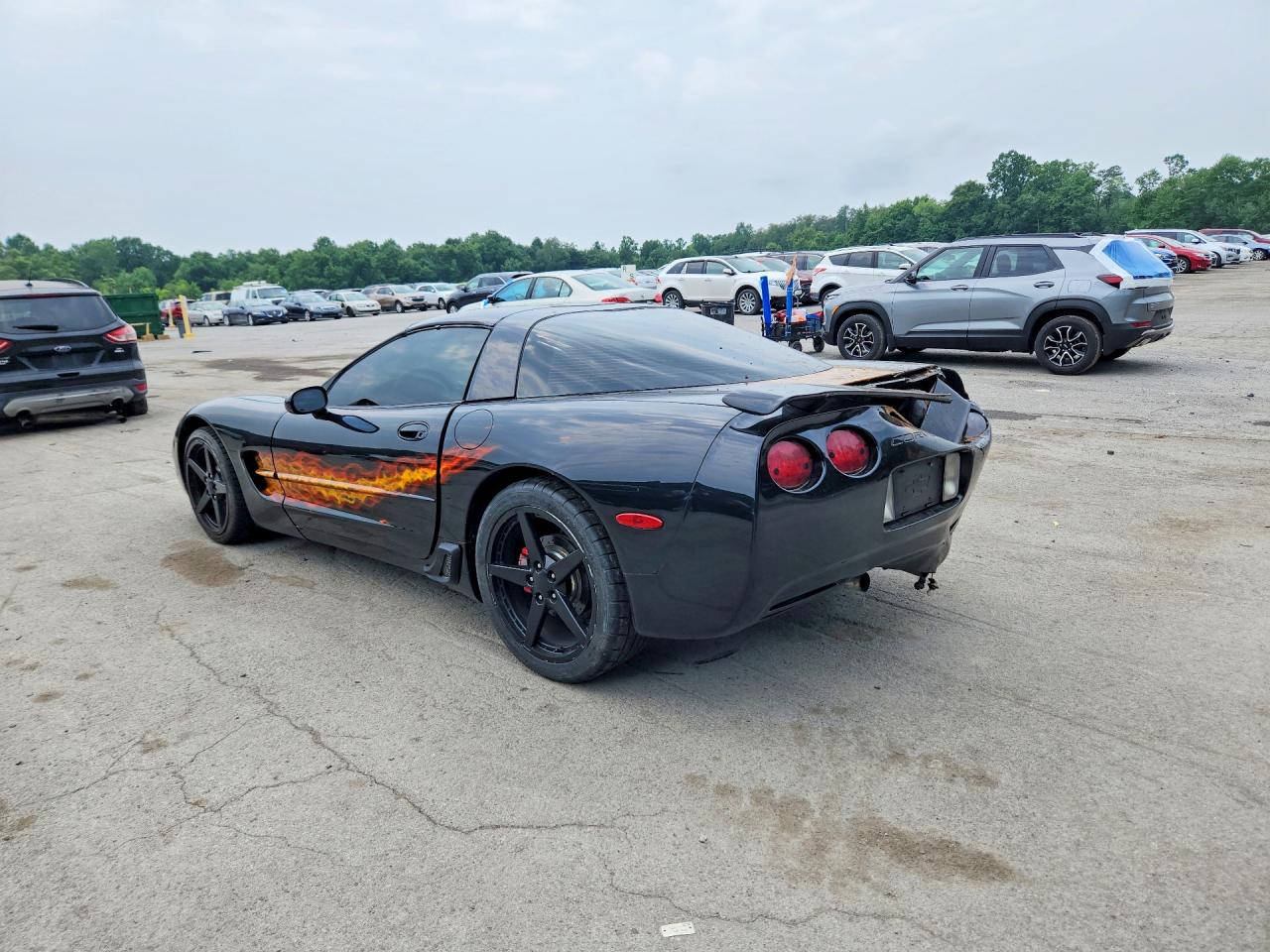 1997 Chevrolet Corvette Black vin: 1G1YY22G2V5104123