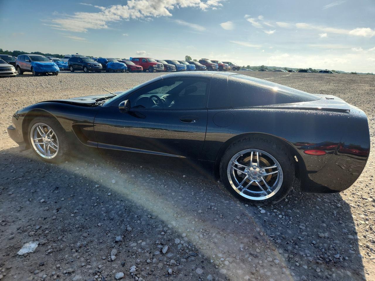 1997 Chevrolet Corvette Black vin: 1G1YY22G2V5104865