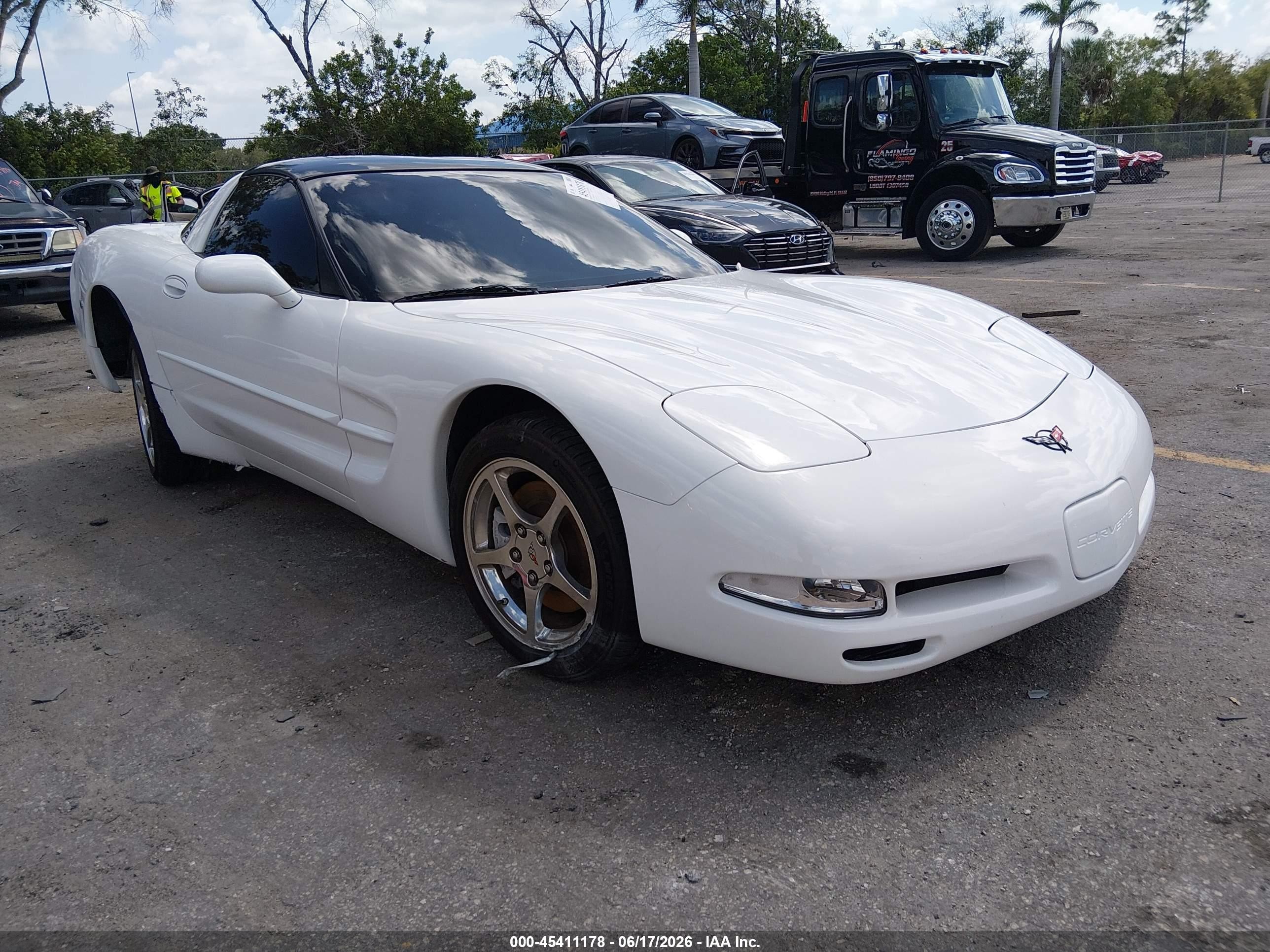 2004 Chevrolet Corvette   White vin: 1G1YY22G345128574