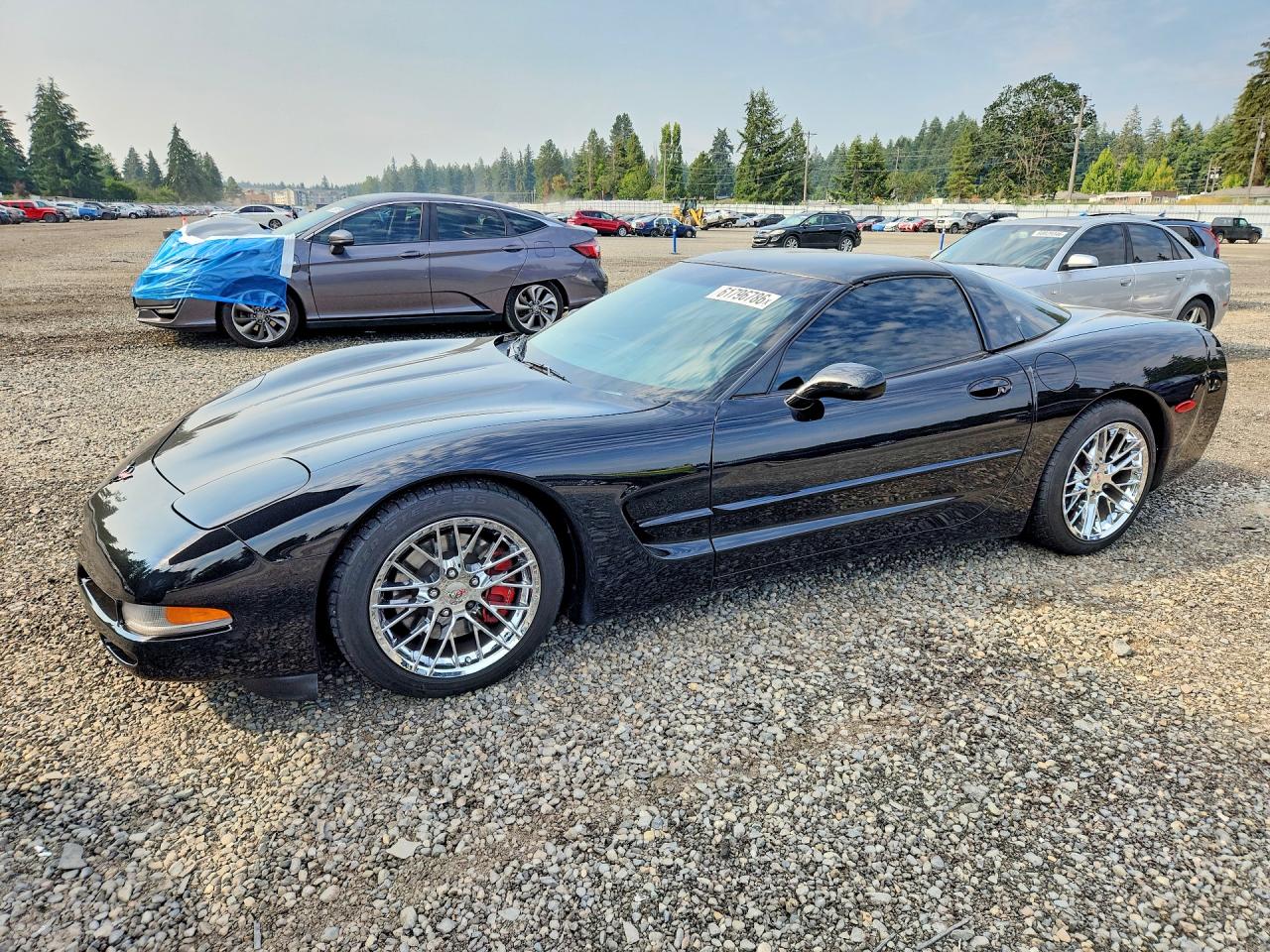 1998 Chevrolet Corvette Black vin: 1G1YY22G5W5107552