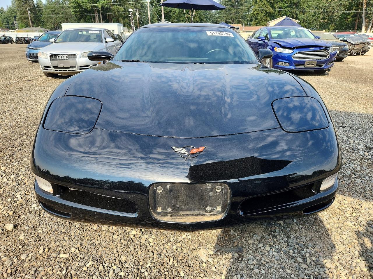 1998 Chevrolet Corvette Black vin: 1G1YY22G5W5107552
