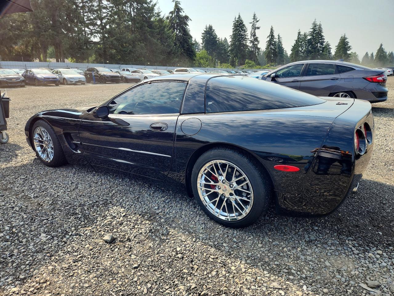1998 Chevrolet Corvette Black vin: 1G1YY22G5W5107552