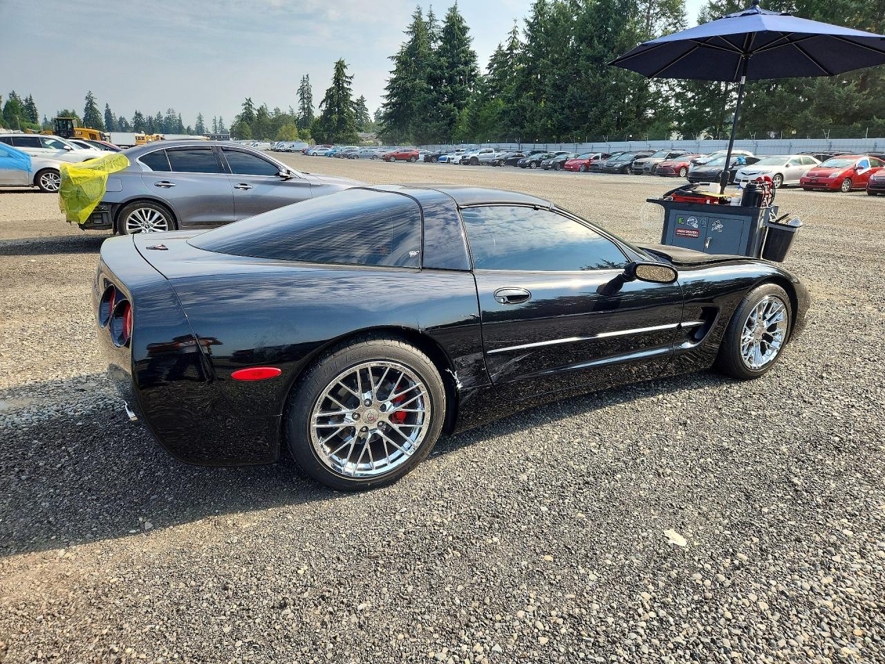 1998 Chevrolet Corvette Black vin: 1G1YY22G5W5107552