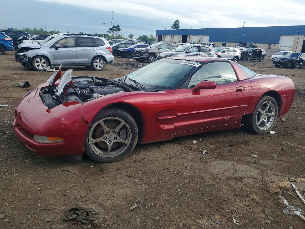 2001 Chevrolet Corvette Бордовый vin: 1G1YY22G815134026