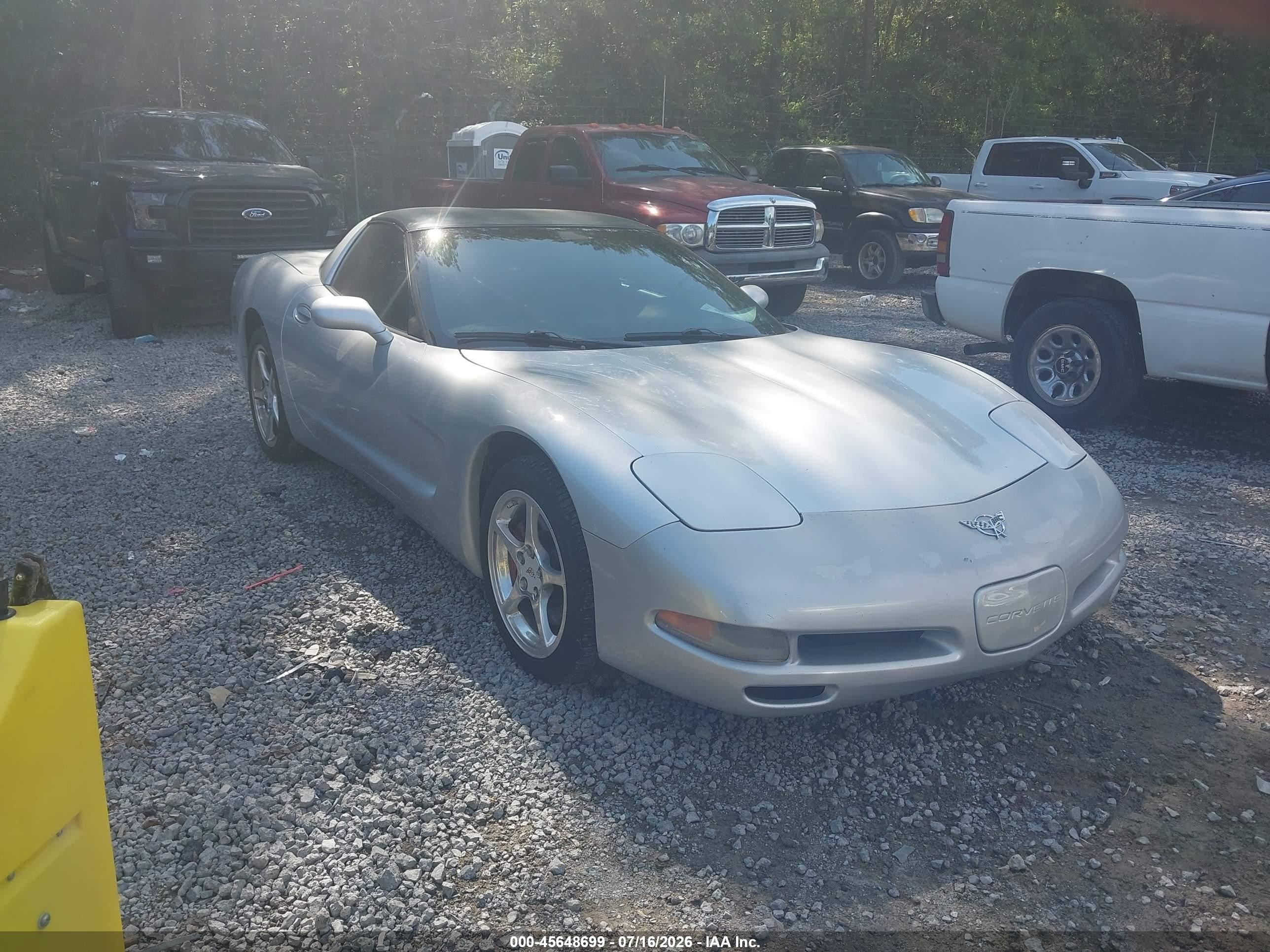 2002 Chevrolet Corvette   Silver vin: 1G1YY22G925105345