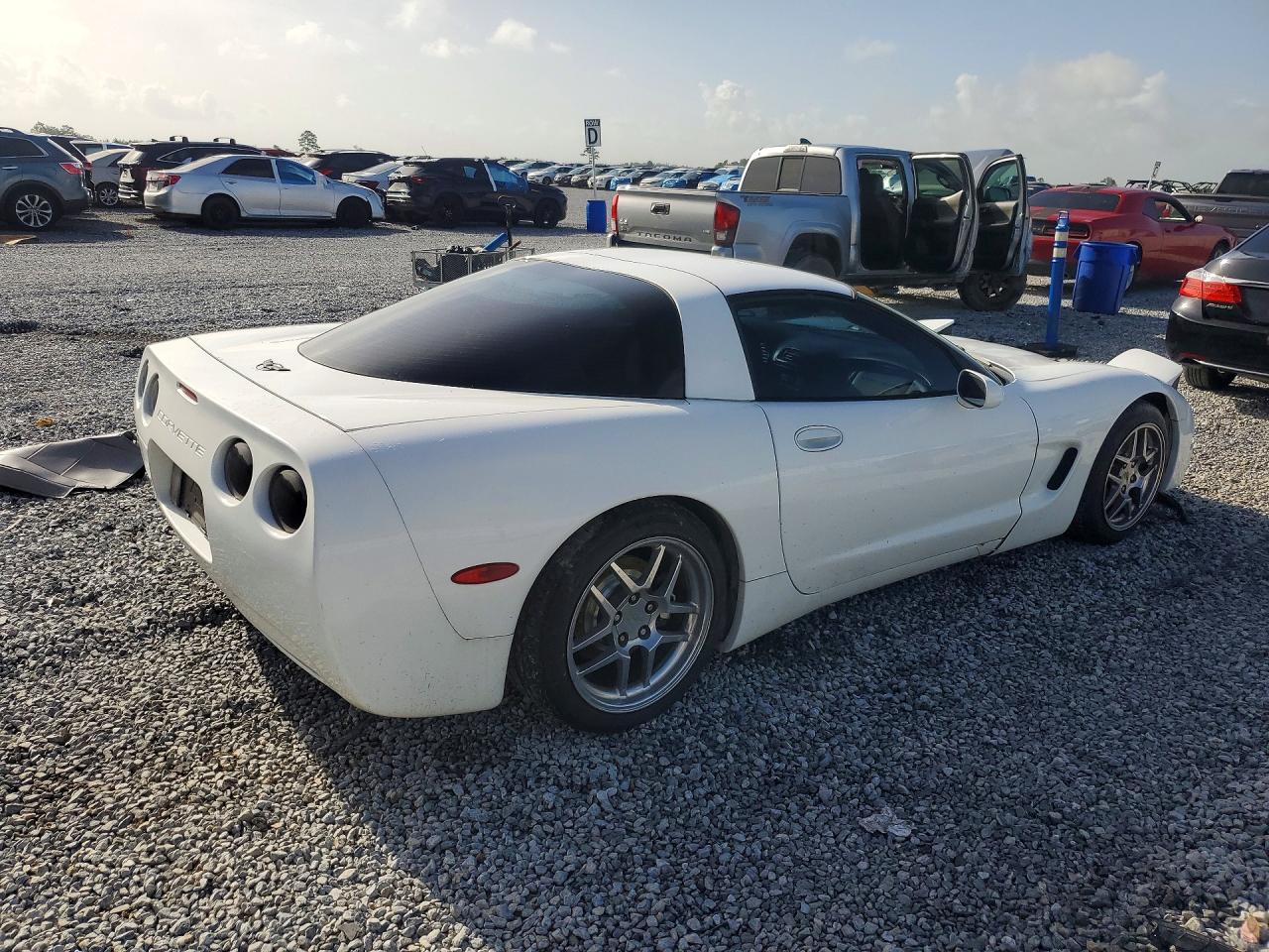 2000 Chevrolet Corvette White vin: 1G1YY22G9Y5120579