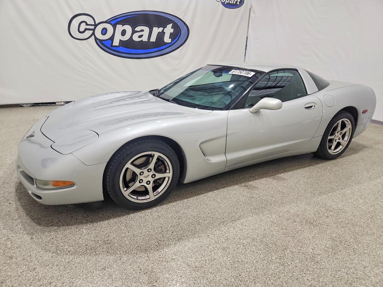 2003 Chevrolet Corvette Серебряный vin: 1G1YY22GX35118977