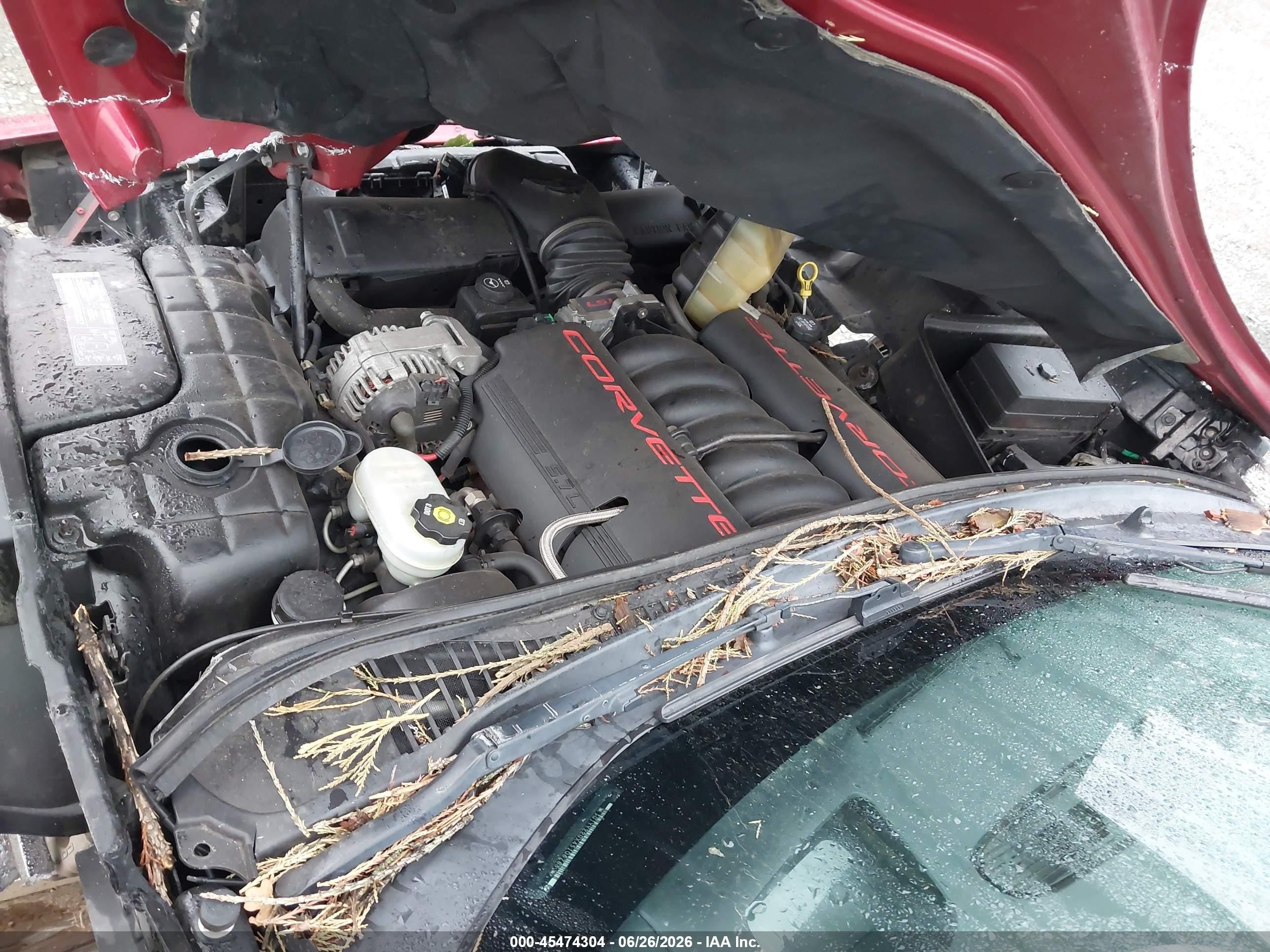 2004 Chevrolet Corvette   Красный vin: 1G1YY22GX45106765
