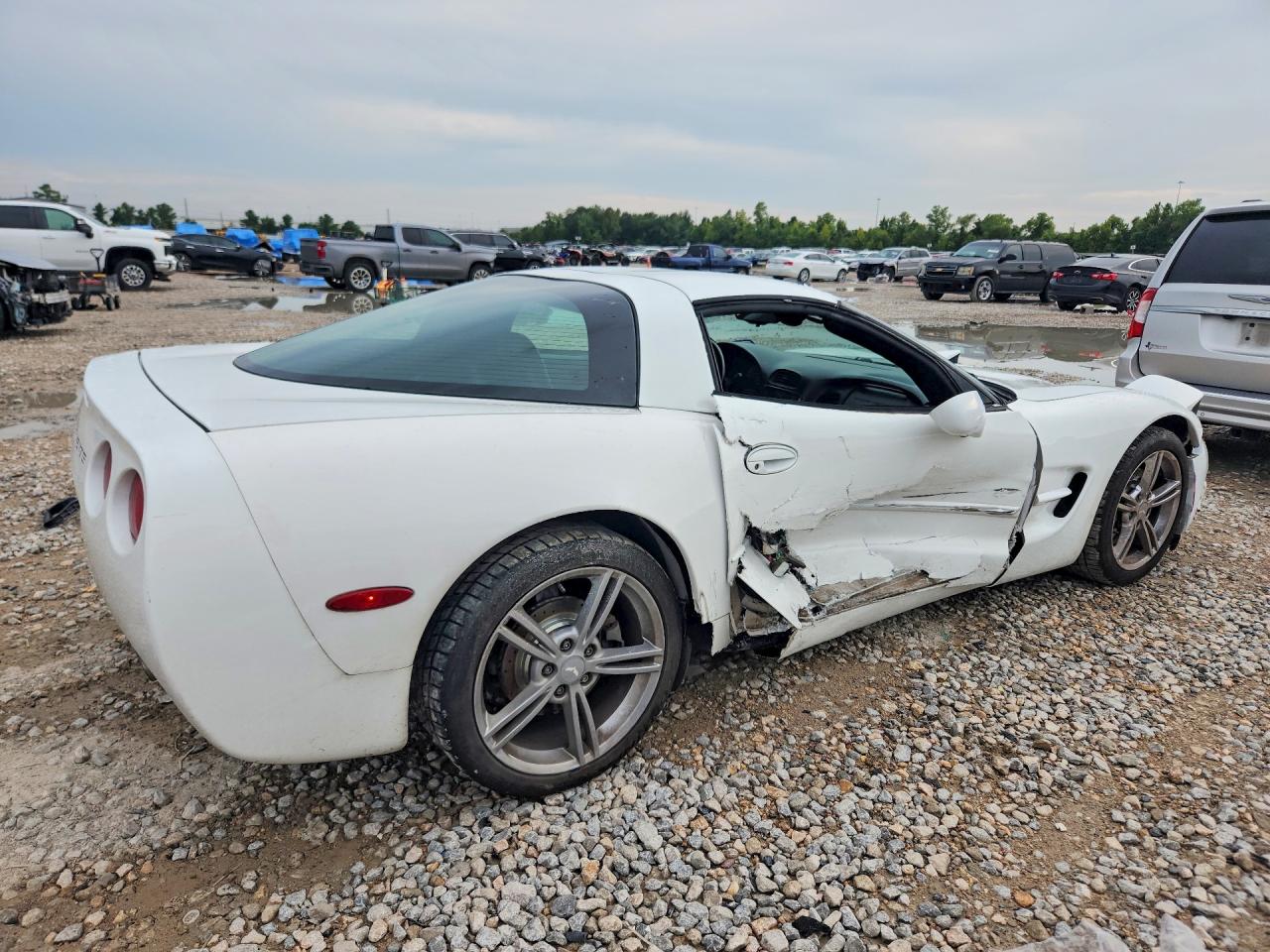 1998 Chevrolet Corvette Белый vin: 1G1YY22GXW5126713