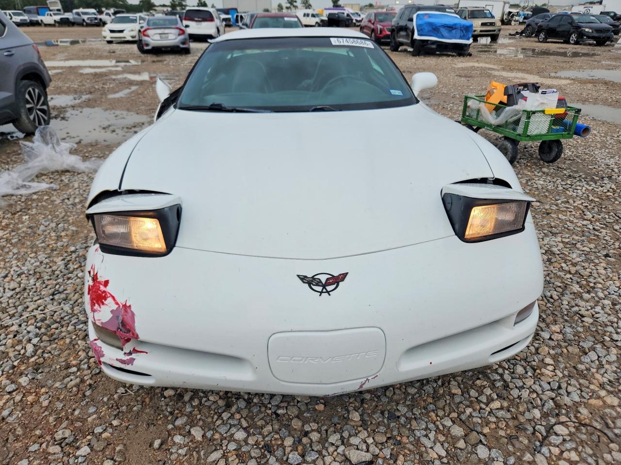 1998 Chevrolet Corvette Белый vin: 1G1YY22GXW5126713