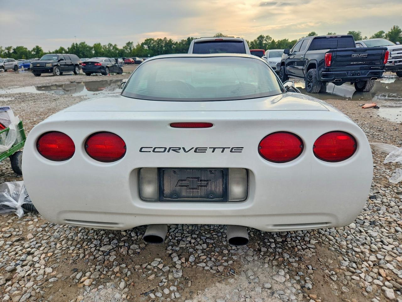 1998 Chevrolet Corvette Белый vin: 1G1YY22GXW5126713