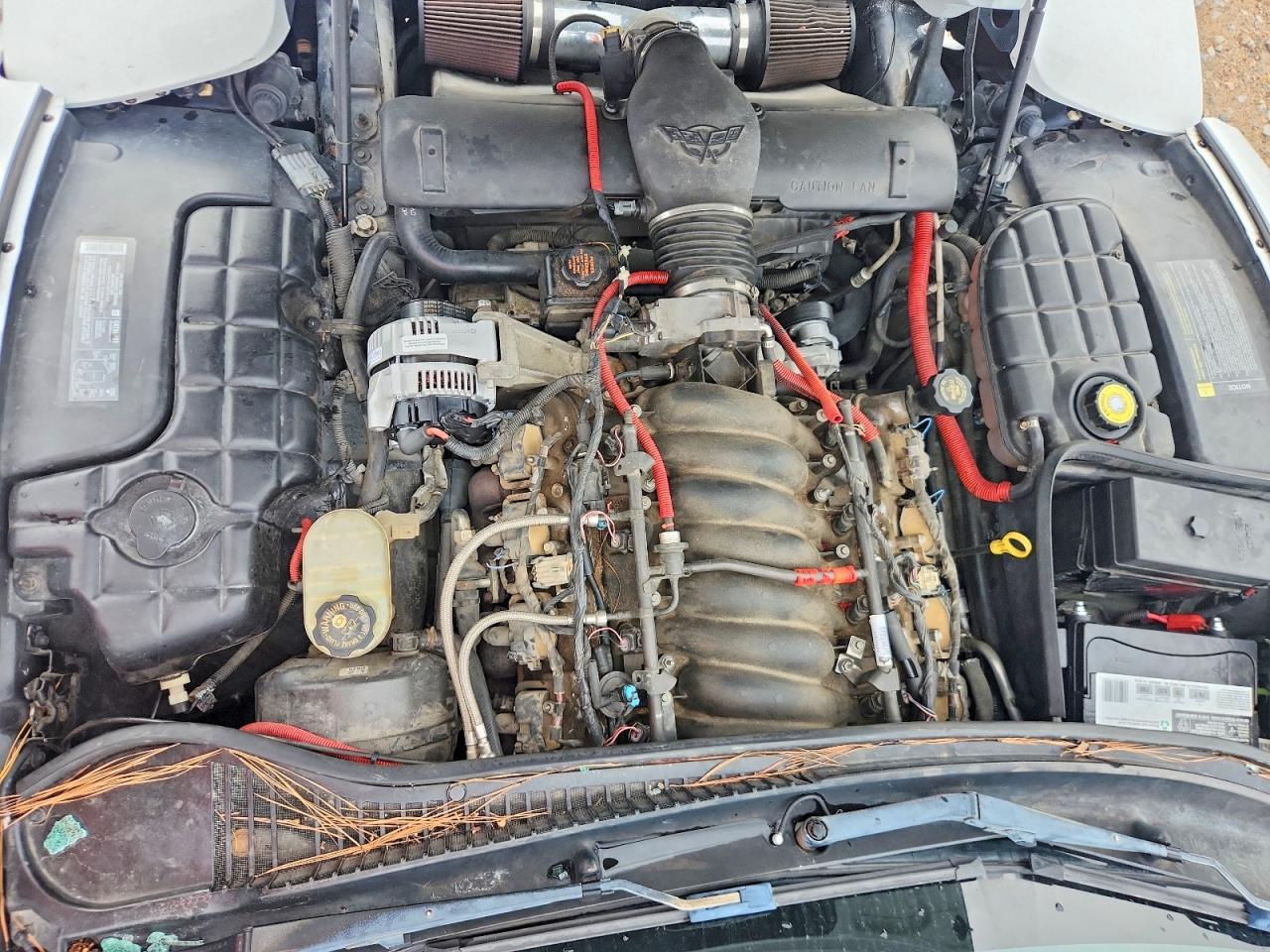 1998 Chevrolet Corvette Белый vin: 1G1YY22GXW5126713